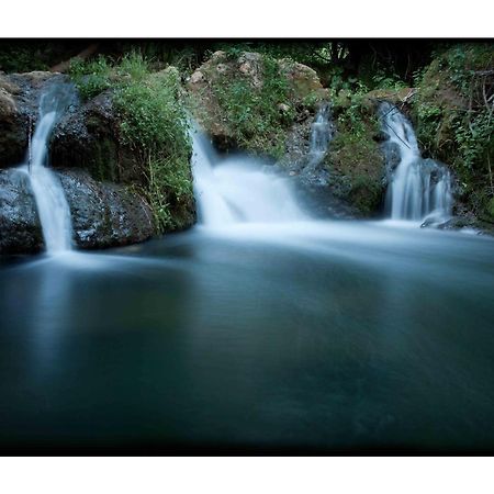 Гостевой дом El Rincon De San Benito Казалла де ла Сиерра Экстерьер фото
